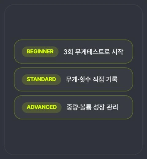 내 운동 단계